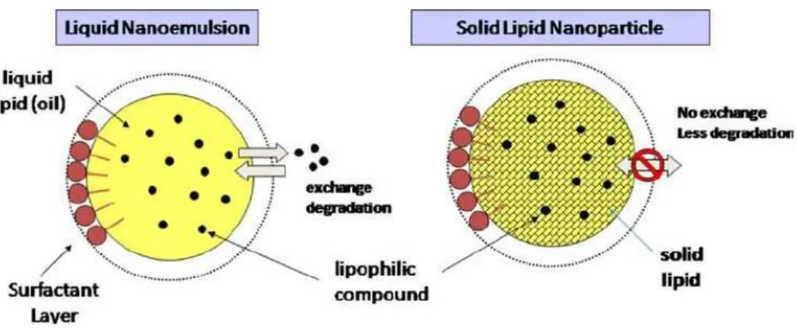 Figura  10-  Estrutura  de  uma  nanoemulsão  líquida  (à  esquerda)  e  de  nanopartículas  lipídicas  sólidas  (à  direita)  estabilizadas  por  uma  camada  de  surfactante  contendo  um  composto  bioactivo  lipofílico