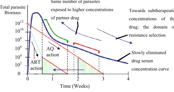 Figure 4 – The pharmacodynamic concept of artemisinin combination therapy (ACT). 