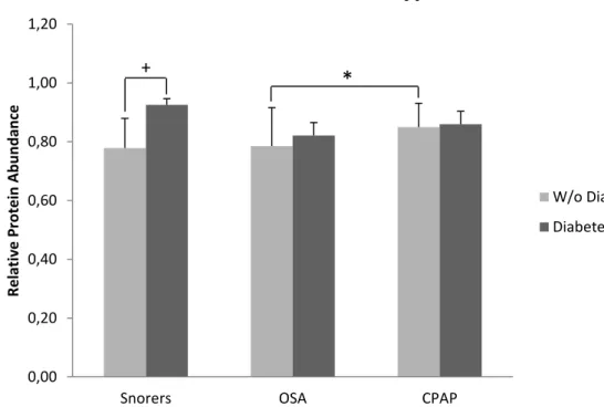 Figure  4.5:  RBCs  relative  protein  abundance  of  PRDX2  hyperoxidized  dimeric  form  in  samples, in Snorers (n = 18; 16 samples from non-diabetic snorers and 2 samples from  diabetic snorers) and OSA group (n = 18; 15 samples from non-diabetic OSA p