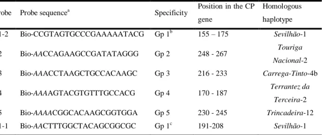 Table 2.1. Sequence of the biotinylated hybridization probes 