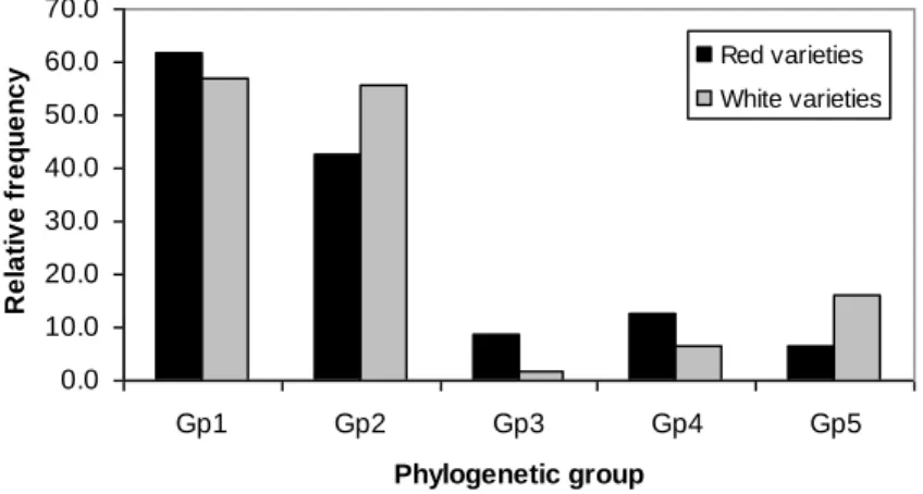 Figure  2.3.  Distribution  of  the  five  phylogenetic  groups    among  the  red  and  white  varieties,  as  observed  by  APET