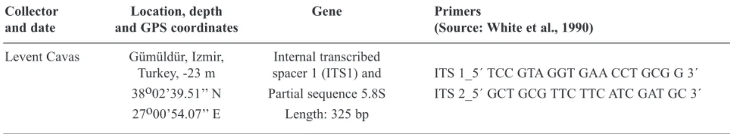 Table 1. Halophila stipulacea. Details (collector, date, site, depth, coordinates and primers source) of samples used in this study.