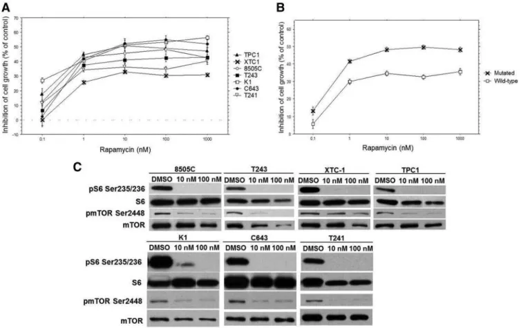 FIG. 5. Rapamycin effect on thyroid cancer cell lines. A, TPC1, XTC1, 8505C, T243, K1, C643, and T241 were grown in 0 to 1000 n M of rapamycin during 48 h, and the induced growth inhibition was determined by the SRB assay