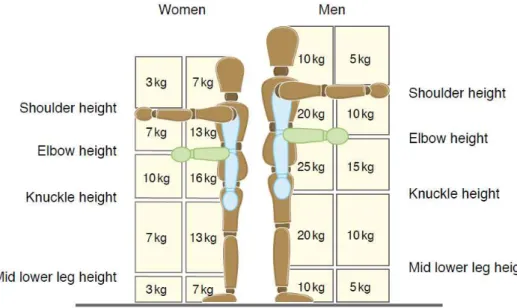 Figura 9 – Peso recomendável de acordo com o sexo feminino e masculino, consoante a localização da  carga e dos membros superiores (Health and Safety Executive, 2011)