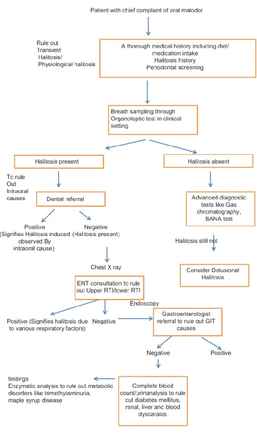 Table A.1 – Diagnosis protocol (reprinted from Donaldson, 2007). 