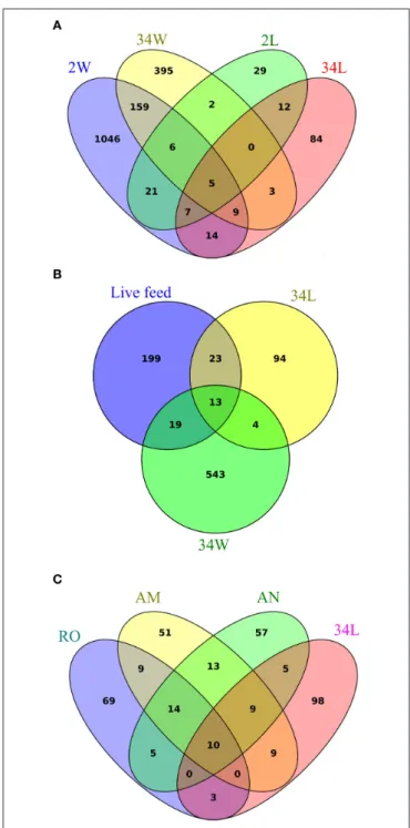 FIGURE 5 | Sharedness and specificity of bacterial phylotypes in gilthead seabream larviculture