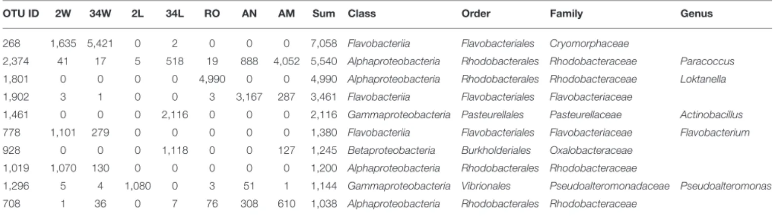 TABLE 2 | Top ten most abundant bacterial OTUs a .