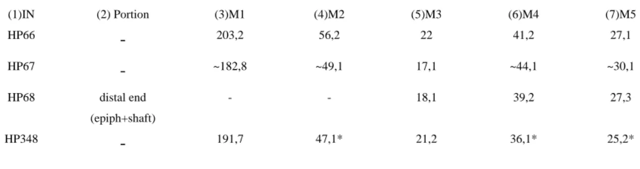 Table 19. Measurements of Crocuta crocuta spelaea tibia: (3)M1  –  Greatest length; (4)M2  –  Greatest breadth of the proximal  end; (5)M3 – Smallest breadth of the diaphysis; (6)M4 – Greatest breadth of the distal end; (7)M5 – Greatest depth of the 