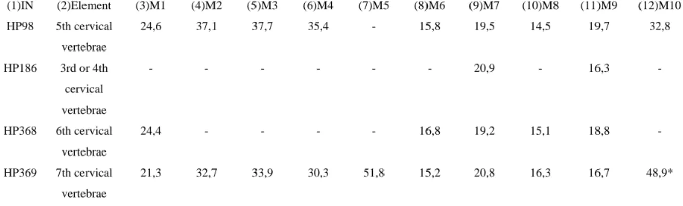 Table 34. Measurements of Canis lupus cervical vertebrae: (3) M1  –  Physiological length of the body; (4) M2  –  Greatest  length from the Processus articulares craniales to the Processus articulares caudales; (5) M3 – Greatest breadth across  Processus a