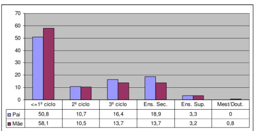 Gráfico nº 1 