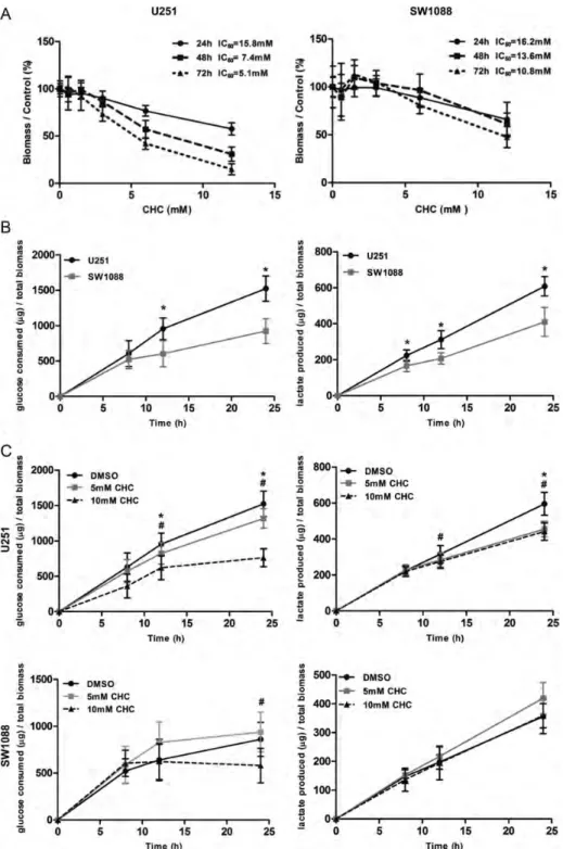 Fig. 3. Effect of the MCT inhibitor, CHC, on total cell biomass and cellular metabolism