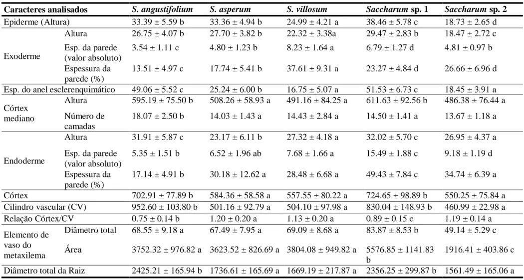 Tabela 3. Variáveis quantitativas  (*/**)  analisadas para a raiz das espécies de Saccharum estudadas 