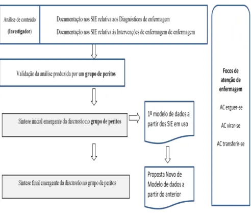 Figura 5: Esquema temporal das etapas do estudo 