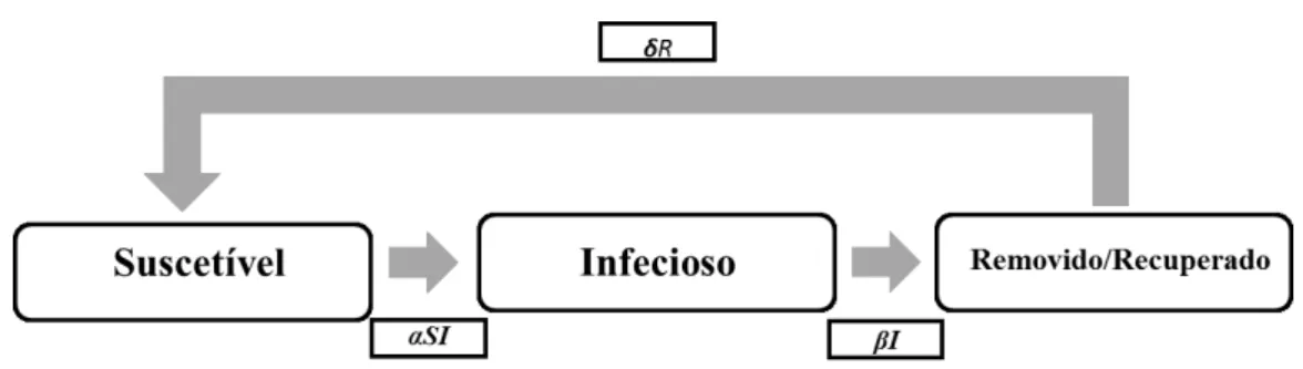 Figura 10 – Diagrama compartimental do modelo SIRS com N constante. 