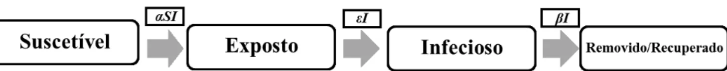 Figura 11 – Diagrama compartimental do modelo SEIR. 