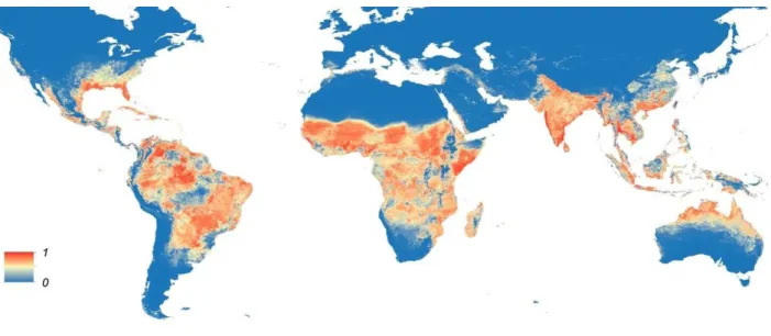 Figura 13 – Mapa global da distribuição prevista do mosquito Aedes aegypti.  