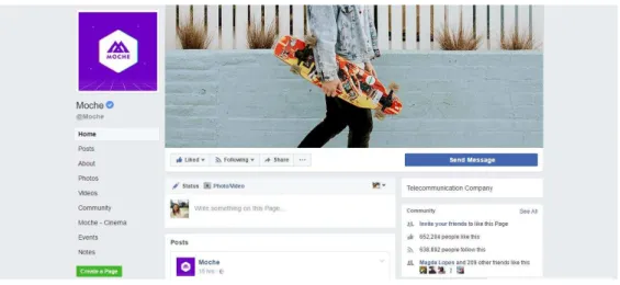 Figura 2 - Presença da Moche no Facebook 
