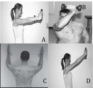 Figure 2 Exercises directed to Serratus Anterior: A - Scaption in standing position (Cools et al.,  2007)  B  -  Diagonal  movement    combining  flexion,  horizontal  adduction  and  external  rotation  (Ekstrom et al., 2003) C - Wall-slide (Hardwick et a
