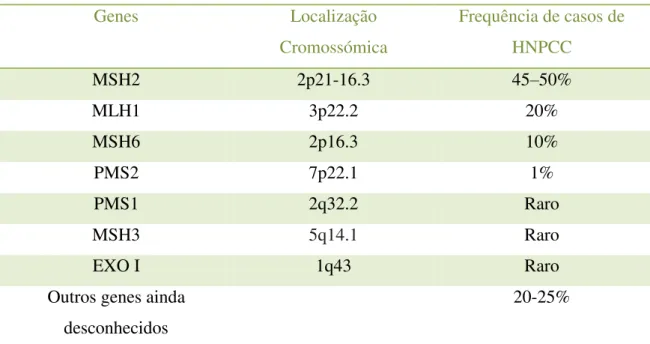 Tabela  5:  Relação  entre  os  genes  mutados  e  a  frequência  de  casos  de  HNPCC