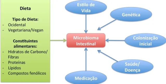 Figura 1: Fatores que influenciam o microbioma intestinal com especial destaque na dieta alimentar  (adaptado de Graf et al, 2015) 