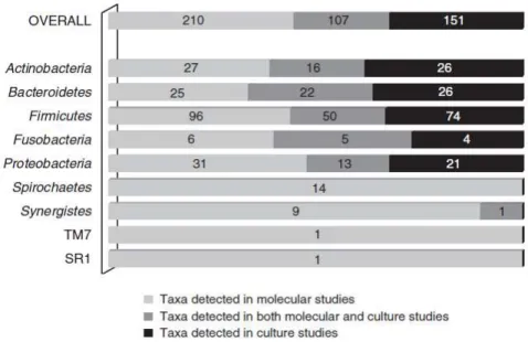 Figura  2 - Distribuição dos  filótipos bacterianos encontrados em infeções endodônticas através de  métodos de cultura, moleculares e ambos (J F Siqueira &amp; Rôças, 2009a) 