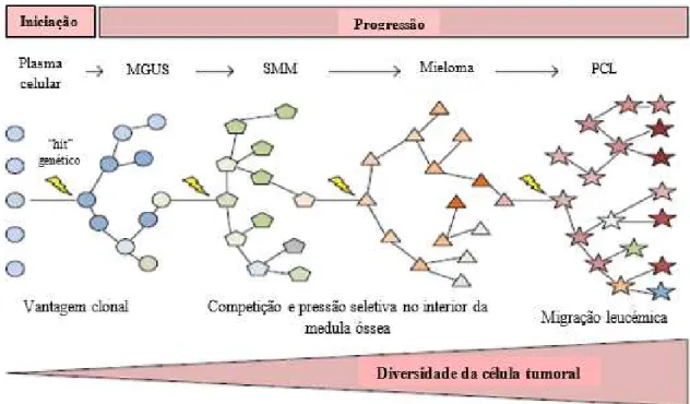 Figura 6  –  Iniciação e Progressão do Mieloma Múltiplo: O núcleo germinativo da célula B recebe um 
