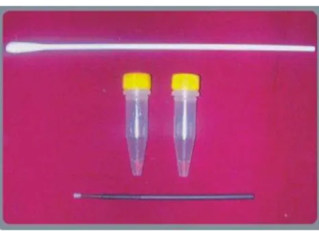 Figura 7- Kit halitox 
