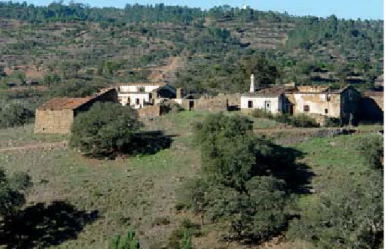 Fig. 14 Monte do Seixo Fig. 15 Monte de Estraga Manténs