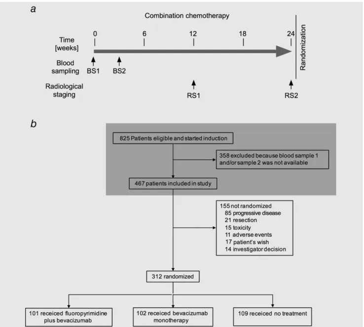 Figure 1. Schematic diagram of the combination chemotherapy and CONSORT diagram. (a) The combination chemotherapy of the prospective study AIO-KRK-0207 lasted 24 weeks