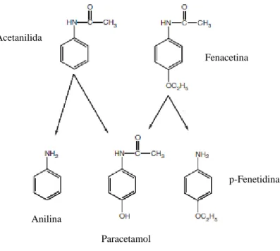 Figura 5 - Estruturas químicas e vias envolvidas na descoberta do paracetamol. Adaptado de Toussaint et al