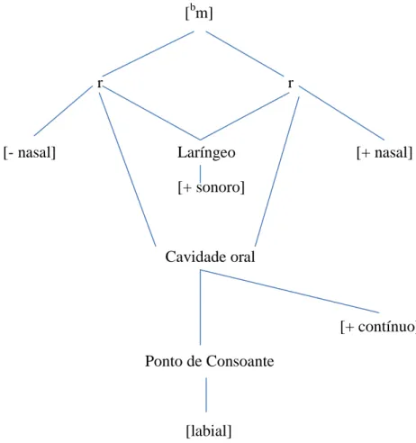 Figura 3.  Representação arbórea do fone [ b m] 