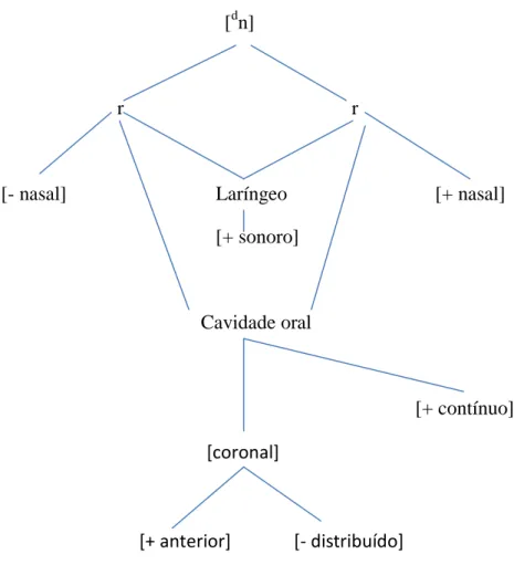 Figura 4.  Representação arbórea do fone [  n] 