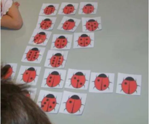 Figura 12 - Exemplos de joaninhas que juntas têm doze pintas  