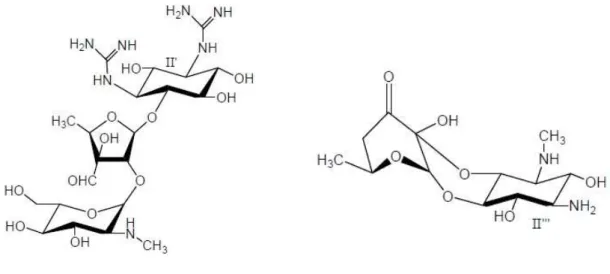 Figura  9.  Antibióticos  cujo  anel  derivado  ciclitol  não  é  a  2-desoxi-estreptamina