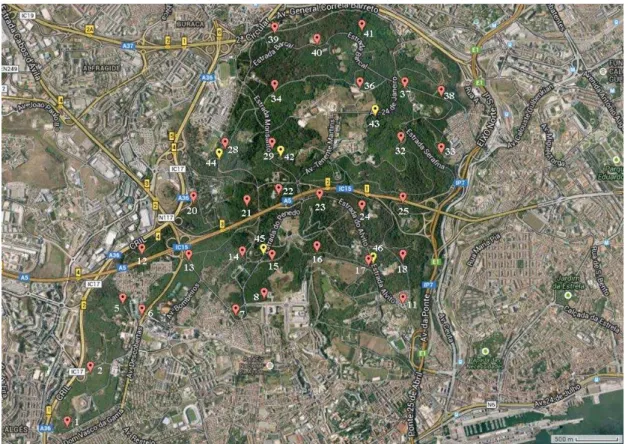 Figure  3.  Satellite  image  of  Monsanto  Park,  Lisbon,  showing  sample  collection  sites  (created  using  batchgeo.com)
