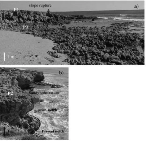 Fig. 4. Morphologic features in sub-sector Ib (see Fig. 1 for location): a) spatial relation between P0 and P1 platforms