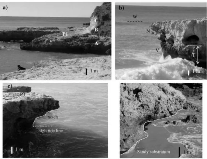 Fig. 5. Some morphologic features in sub-sector Ic (see Fig. 1 for location): a) P1 platform, b) Platform P2 and an older notch, c) and d) notches with roofs above the high tide line