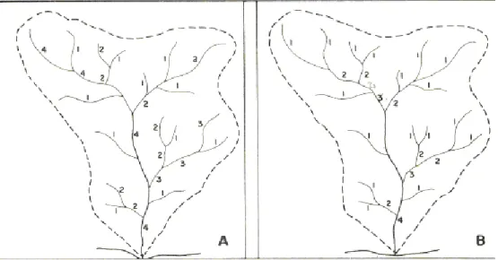 Figura 4: Hierarquização segundo Horton (A) e Strahler (B). Fonte: Christofoletti, 1980.