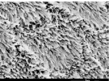 Figura  5  -  Imagem  de  microscópio  eletrónico  de  esmalte  exposto  durante 20 minutos a ácido cítrico a 0,3%, podendo ser visualizados os  primas de esmalte (Shellis et al., 2015)