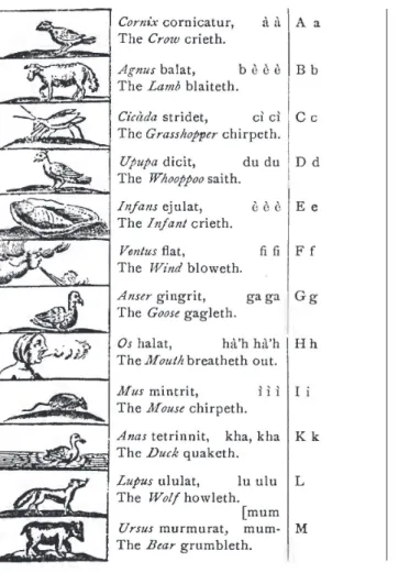 Figura 8 Abecedário ilustrado, Orbis Pictus,  Jean Amos Comenius, 1658.