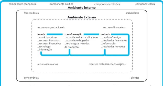 Fig. 01 _  Contexto organizacional (adaptado de Santos, 2008)