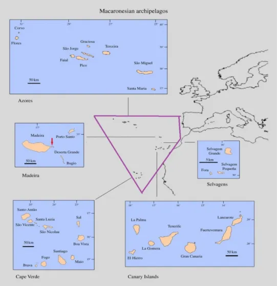 Figure 2.1: Schematic representation of the Macaronesia biogeographical region and  associated  archipelagos  (purple  polygon)  (source: Rando  et  al.,  2014)