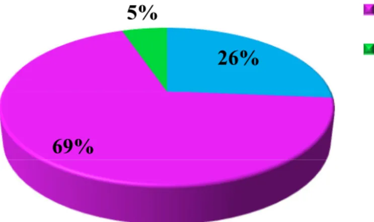 Figure  3.3:  Percentage  of  individuals  with  matches  in  Macaronesia  according  to  residency  patterns  defined  in  Madeira:  Transient  (T),  Resident (R) and Visitor (V)