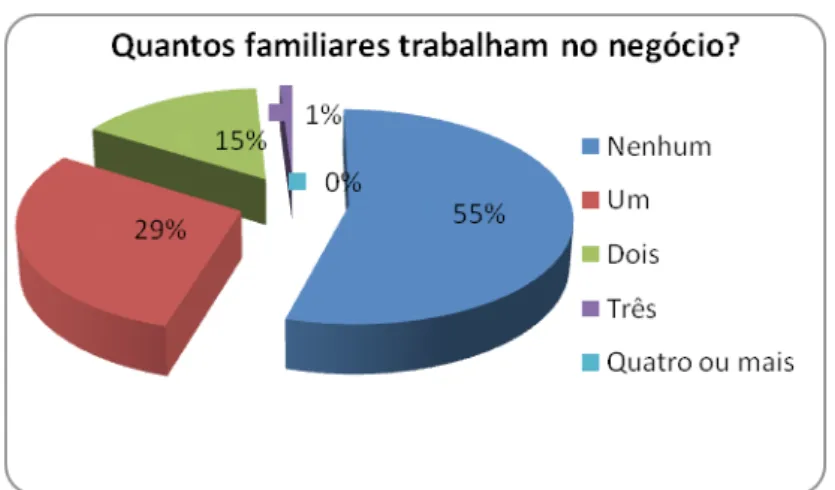 Gráfico 8 – Quantidade de familiares que trabalham  no negócio informal