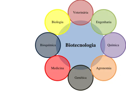 Figura 1 | Multidisciplinaridade da Biotecnologia 