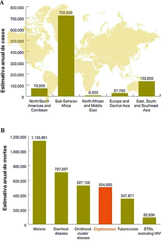 Figura 1: Estimativa global da incidência de criptococose. A) Média global de meningite criptocócica  relacionada  ao  HIV