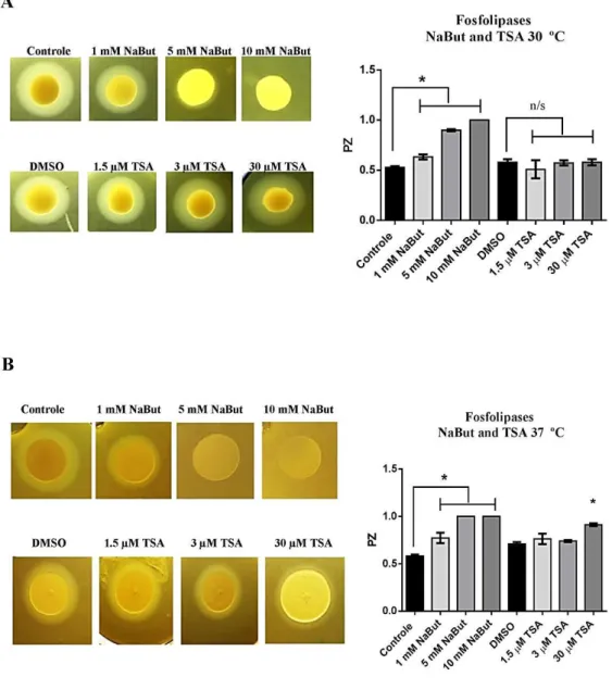 Figura 14: O efeito dos HDACi sobra a atividade de fosfolipase. As células foram cultivadas durante  48 h a 30 °C e 37 °C em meio ágar contendo gema de ovo, na presença de diferentes concentrações das  drogas