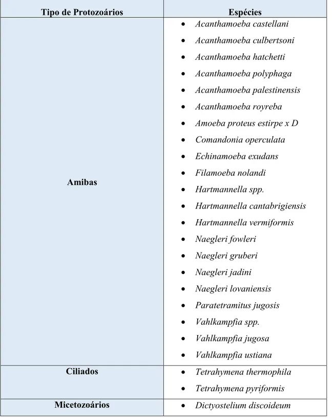 Tabela  2-  Espécies  de  Protozoários  onde  foram  detetadas  bactérias  Legionella  no  seu  meio  intracelular ( adaptado de Lau &amp; Ashbolt, 2009)