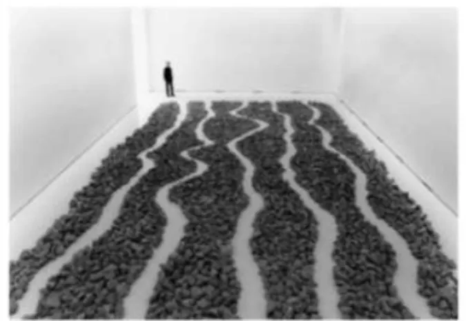 Figura 8 I Richard Long   