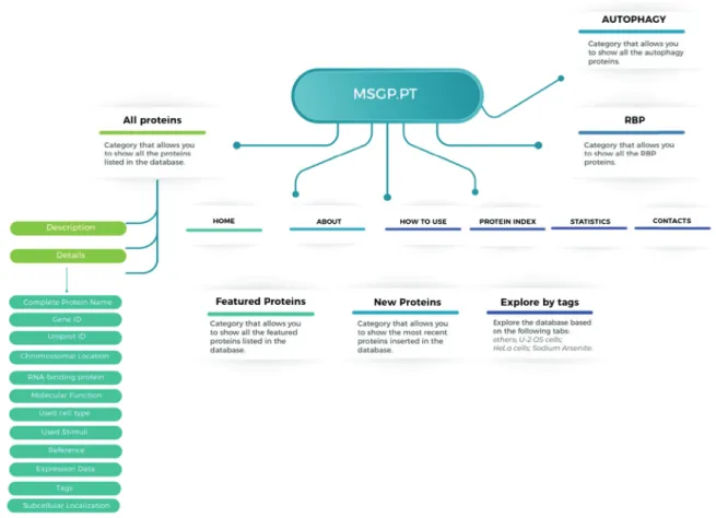 Figure 1. Structure of the MSGP database, depicting the main sections, different ﬁlters, tags and forms to explore and retrieve the information stored in the database.